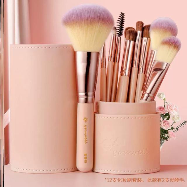 12 Makeup Brushes Beginns Full Set of, for example, Tools AU T